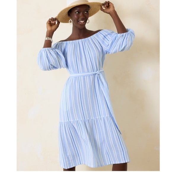 Tommy Bahama Blue and White Striped Midi Dress - Picture 1 of 12